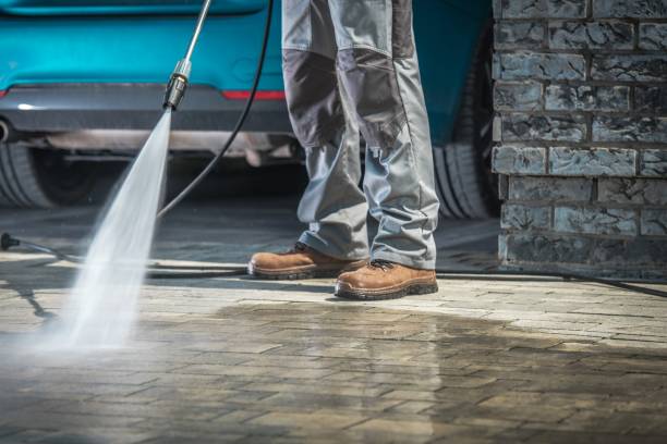 Best Soft Washing  in Citrus City, TX